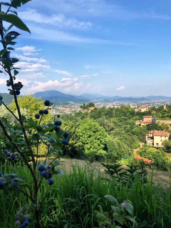 Foresteria Antica Bastia B&B Bergamo Exteriér fotografie